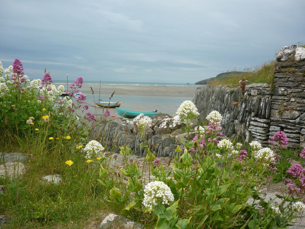 Tabor House B&B Fishguard Eksteriør billede