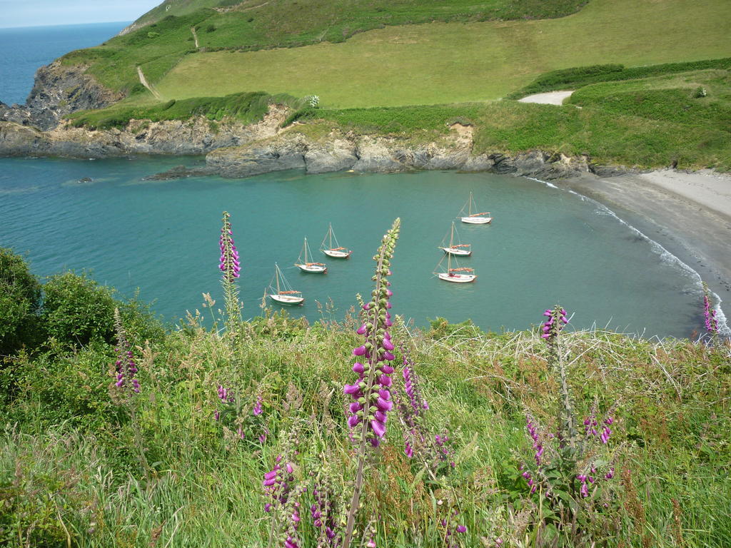 Tabor House B&B Fishguard Eksteriør billede