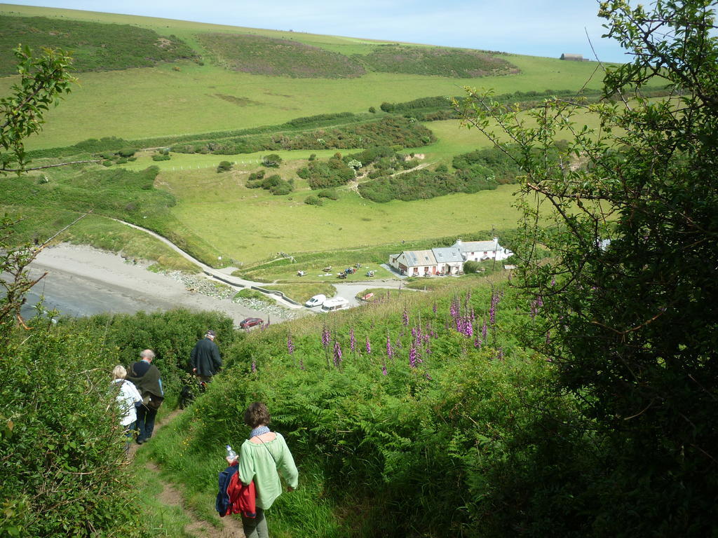 Tabor House B&B Fishguard Eksteriør billede