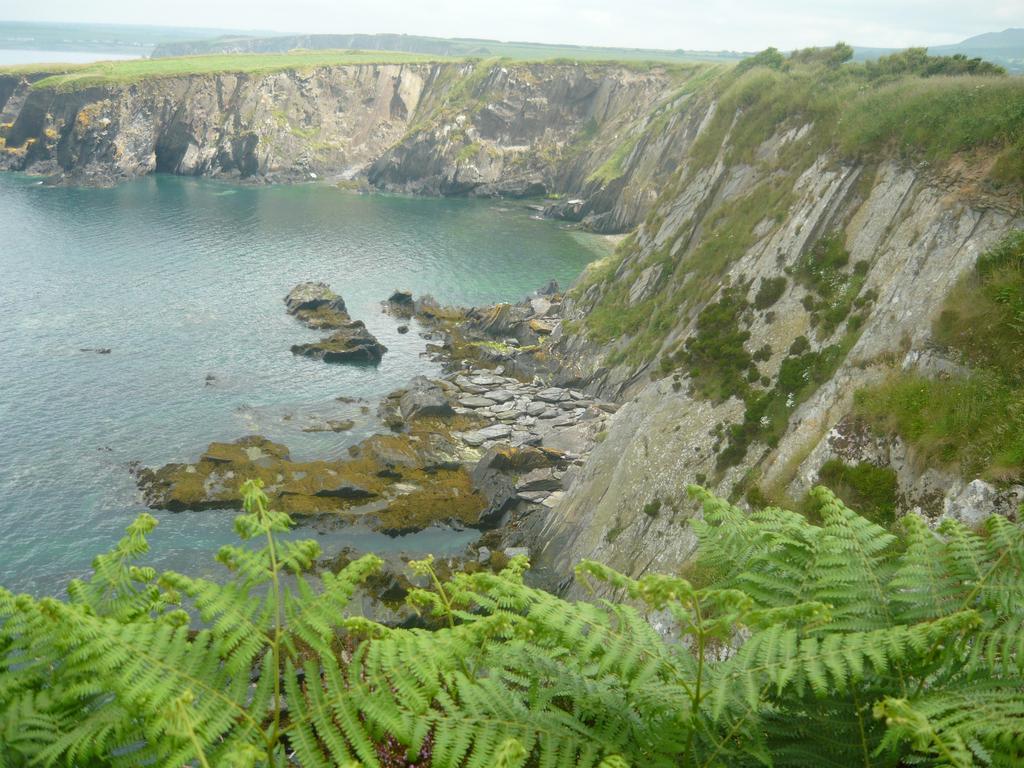 Tabor House B&B Fishguard Eksteriør billede