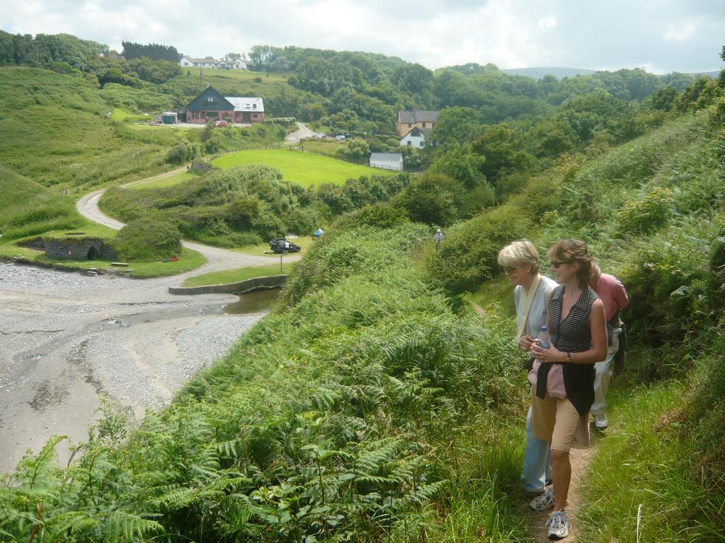 Tabor House B&B Fishguard Eksteriør billede