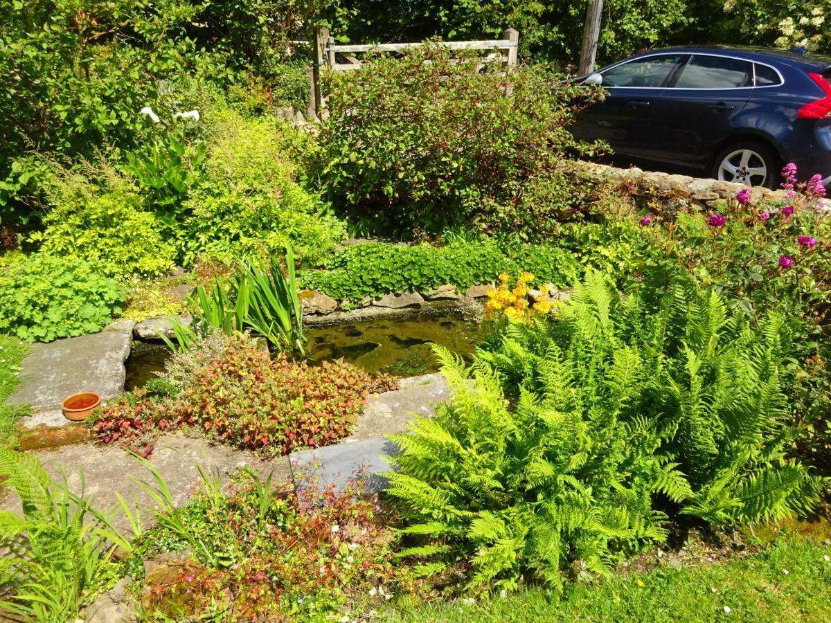 Tabor House B&B Fishguard Eksteriør billede